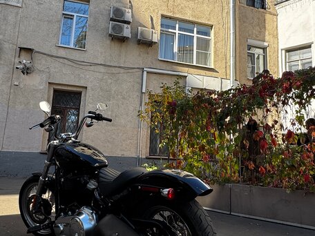 2019 Harley-Davidson Softail Standard, чёрный, 1085000 рублей, вид 4