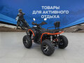 2026 Другие Мотовездеходы (другие), чёрный, 234400 рублей - вид 3