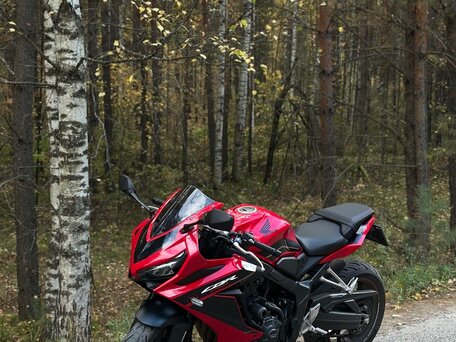 2023 Honda CB 650R, красный, 980000 рублей, вид 2