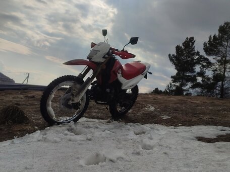 2014 Irbis TTR 250, красный, 125000 рублей, вид 2