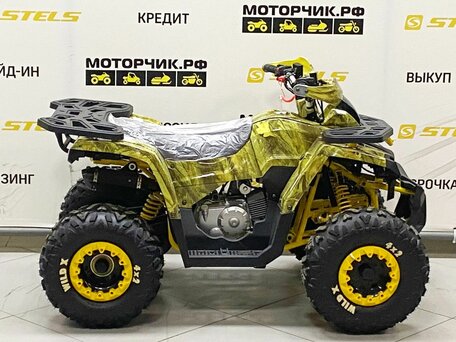 2025 Motoland Wild 125, жёлтый, 99000 рублей, вид 5