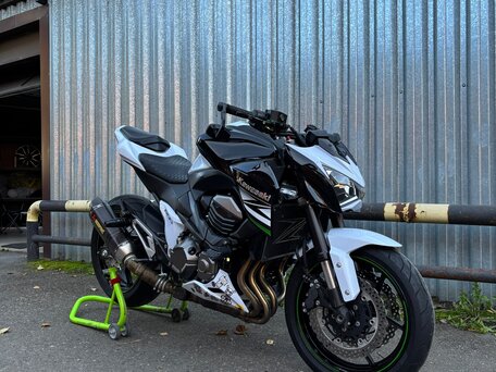 2013 Kawasaki Z 800, белый, 800000 рублей, вид 2