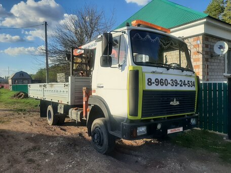 2011 МАЗ 4370, белый, 3100000 рублей, вид 1