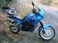 1994 Triumph Tiger 900, синий, 535000 рублей - вид 4