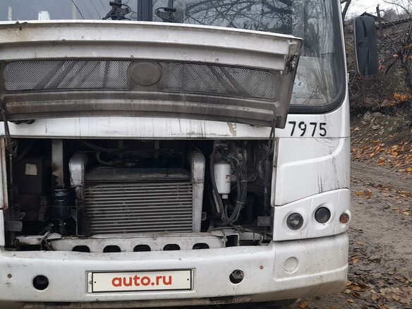 2011 ПАЗ 3204, белый, 530000 рублей - вид 13
