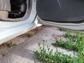2008 Renault Logan I, серый, 270000 рублей - вид 8