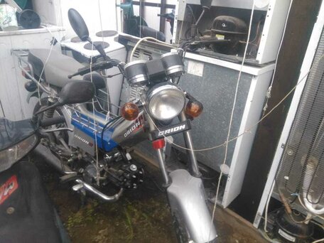 2021 Irbis TTR 125, чёрный, 110500 рублей, вид 2