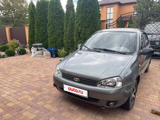 2010 Lada (ВАЗ) Kalina I, серый, 510000 рублей, вид 2