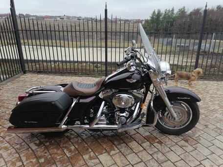2004 Harley-Davidson Road King, коричневый, 750000 рублей, вид 3
