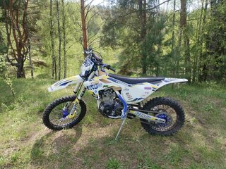 2020 Avantis Enduro 300 Pro/EFI, белый, 260000 рублей, вид 3