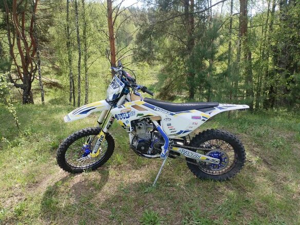 2020 Avantis Enduro 300 Pro/EFI, белый, 260000 рублей - вид 2
