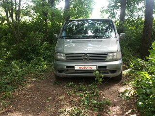 2001 Mercedes-Benz Vito 112 CDI I (W638), серебристый, 550000 рублей, вид 2