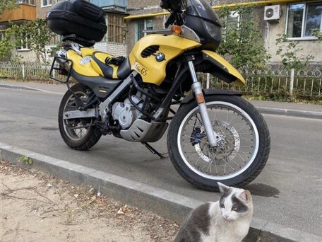 2003 BMW F 650 GS, жёлтый, 420000 рублей, вид 3