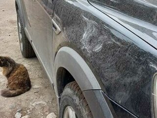 2013 Chevrolet Captiva I Рестайлинг, чёрный, 1300000 рублей, вид 4
