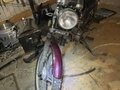 2019 Racer Alpha, красный, 35000 рублей - вид 3