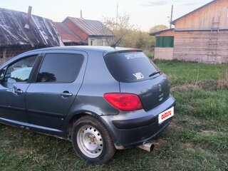 2007 Peugeot 307 I Рестайлинг, серый, 250000 рублей, вид 5