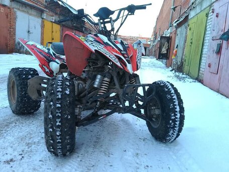 2021 Motoland ATV 250S, пурпурный, 155000 рублей, вид 5