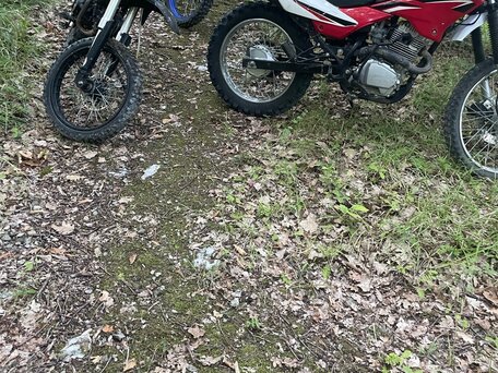 2017 Irbis TTR 250, красный, 50000 рублей, вид 3