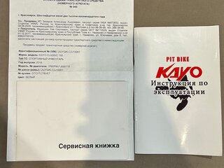 2018 Kayo Classic, белый, 79000 рублей, вид 5