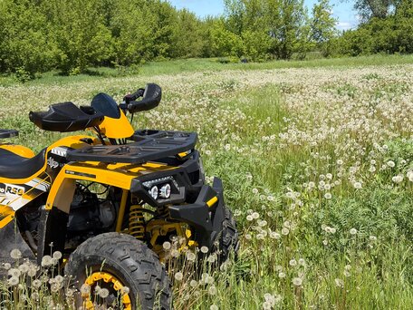 2020 Motoland Wild Track 200, жёлтый, 100000 рублей, вид 5