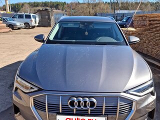 2020 Audi e-tron 50 I, серый, 4750000 рублей, вид 1