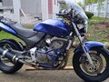 2002 Honda CB 600F Hornet, синий, 400000 рублей - вид 1