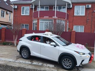 2020 Lexus NX 300 I Рестайлинг, белый, 4200000 рублей, вид 2