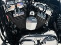 2010 Harley-Davidson Sportster 1200, чёрный, 750000 рублей - вид 10
