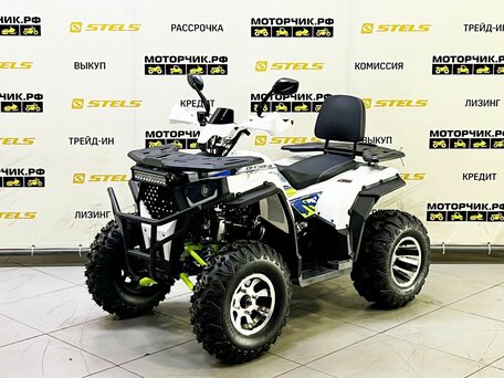 2025 Bison ATV200, белый, 219000 рублей, вид 1