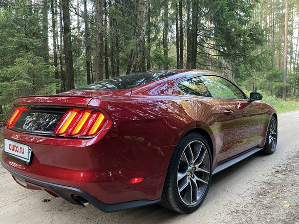 2016 Ford Mustang VI, красный - вид 27