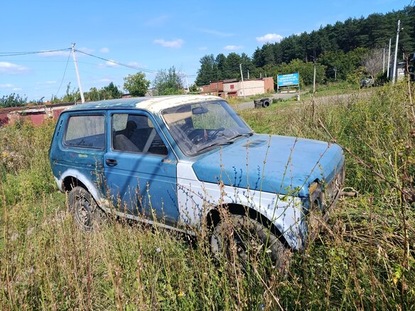 1994 Lada (ВАЗ) 2121 (4x4) I Рестайлинг, синий, 85000 рублей - вид 6