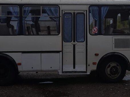 2017 ПАЗ 3205, белый, 1450000 рублей, вид 2