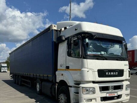 2018 КамАЗ 5490 NEO, белый, 7200000 рублей, вид 4