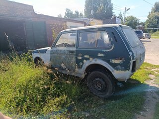 1994 Lada (ВАЗ) 2121 (4x4) I Рестайлинг, синий, 85000 рублей, вид 2