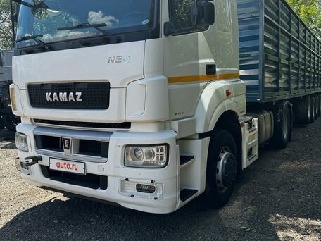 2017 КамАЗ 5490 NEO, белый, 7700000 рублей, вид 1