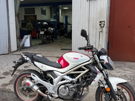 2009 Suzuki SFV 650 Gladius, красный, 350000 рублей, вид 4