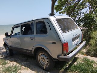 2001 Lada (ВАЗ) 2131 (4x4) I, серебристый, 335000 рублей, вид 3