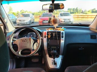 2006 Hyundai Tucson I, серый, 1000000 рублей, вид 4