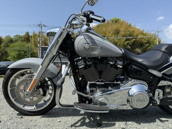 2024 Harley-Davidson Fat Boy, серебристый, 2650000 рублей - вид 5