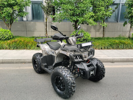 2025 Motax Grizlik 200, чёрный, 206700 рублей, вид 1