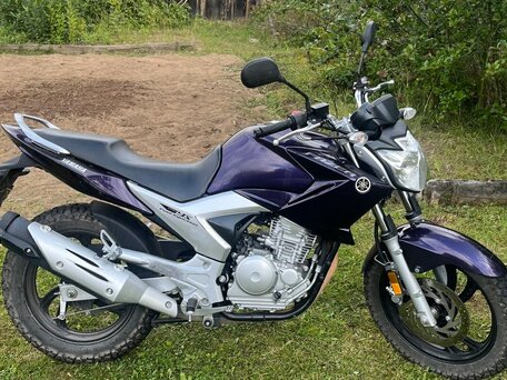 2016 Yamaha YS250 Fazer, фиолетовый, 270000 рублей, вид 2