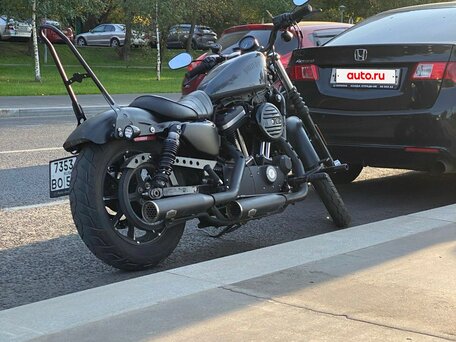 2019 Harley-Davidson Sportster 883, серый, 883000 рублей, вид 3