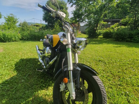 2008 Suzuki Boulevard M50, жёлтый, 555000 рублей - вид 9