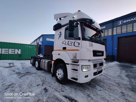 2019 КамАЗ 65209, белый, 2500000 рублей, вид 1