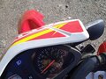 2024 Racer Panther, красный, 165000 рублей - вид 2