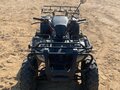 2019 Rato Rush 250, чёрный, 115000 рублей - вид 2