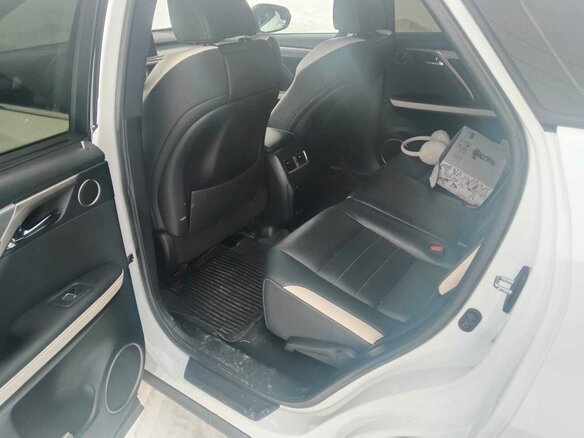 2020 Lexus RX 300 IV Рестайлинг, белый, 4800000 рублей - вид 9