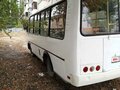 2017 ПАЗ 32053-20, белый, 770000 рублей - вид 2