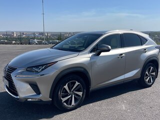 2019 Lexus NX 300 I Рестайлинг, серый, 3500000 рублей, вид 1