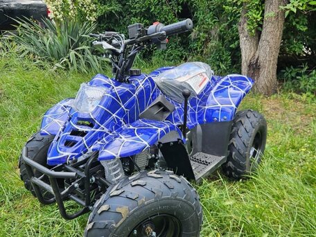 2025 Motoland ATV 125S, синий, 69990 рублей, вид 2